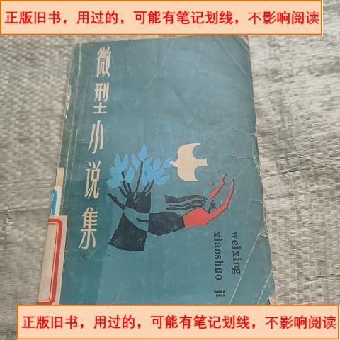 微型小说大全缩略图