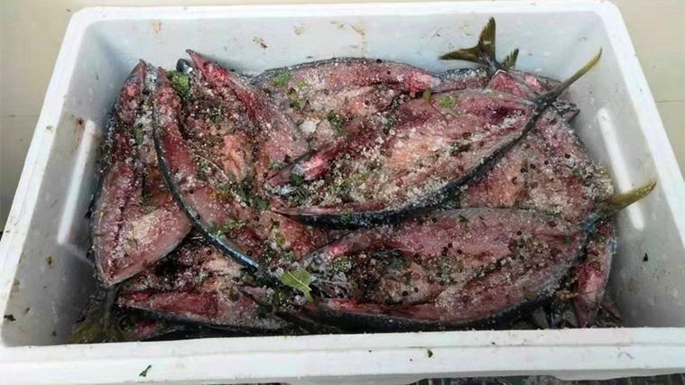 咸鱼上面有白色点是霉菌么游戏截图