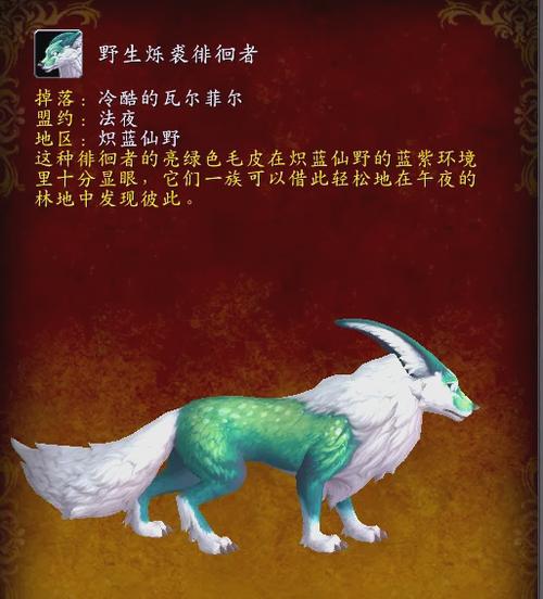 宠物狐狸认主人吗缩略图