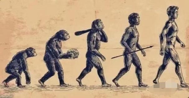 原始人进化破解版缩略图