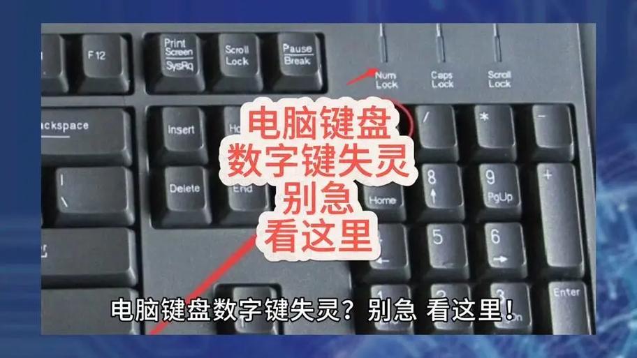 87键键盘数字键用不了游戏截图
