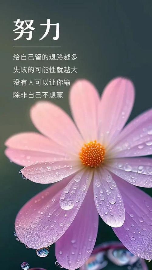 激励的句子经典简短游戏截图