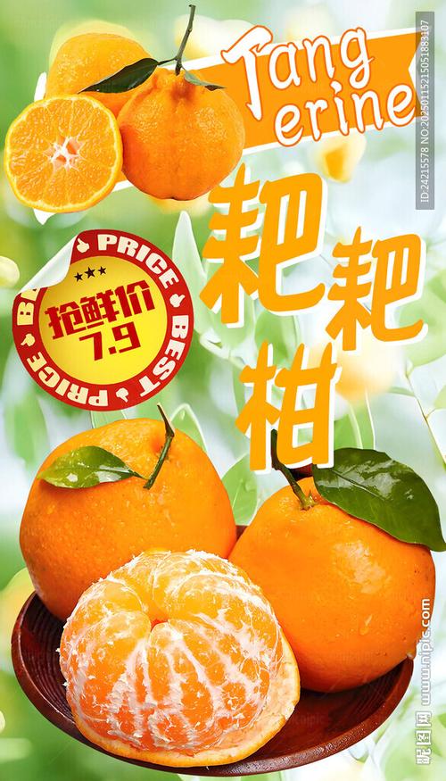 宣传橘子广告词缩略图