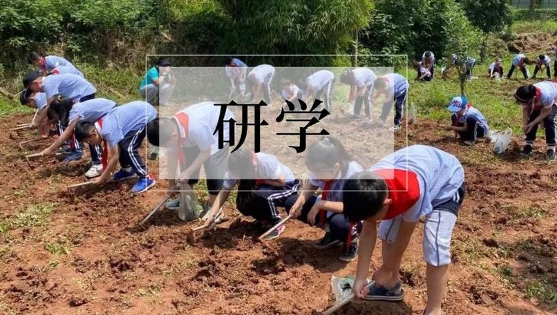 研学是什么意思图标