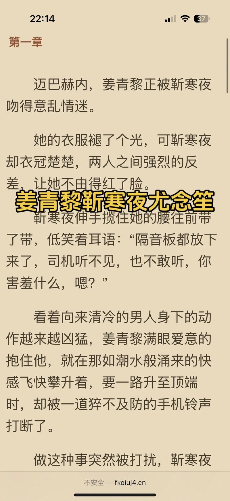鲜辣荷包肉小说在哪可以看图标
