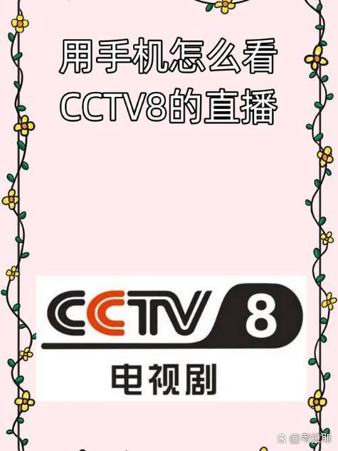 在线观看中央8台直播缩略图