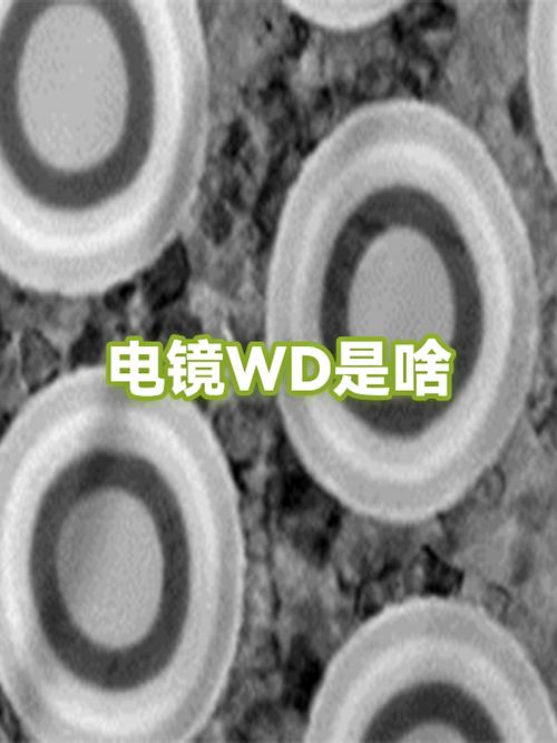 镜头wd是什么意思缩略图