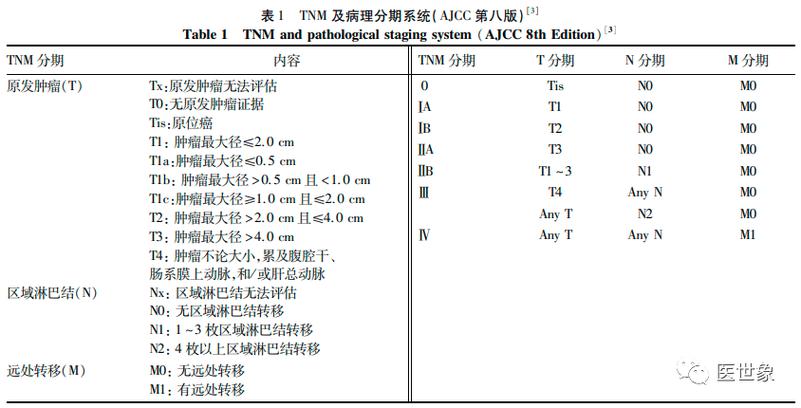 胰腺癌的分期游戏截图
