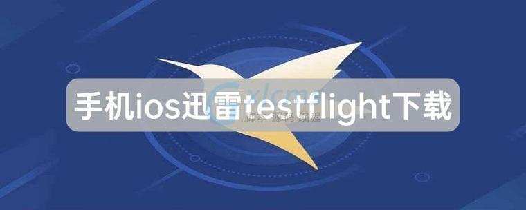 iOS迅雷TestFlight版缩略图
