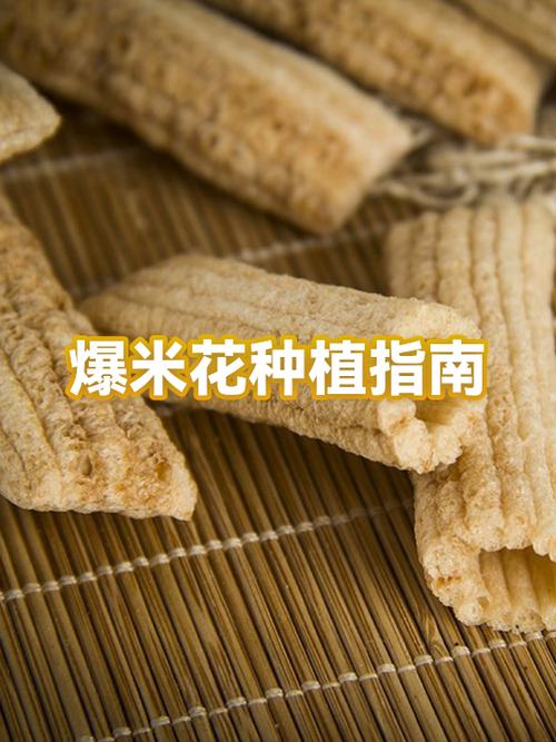普通玉米怎么做成爆米花游戏截图