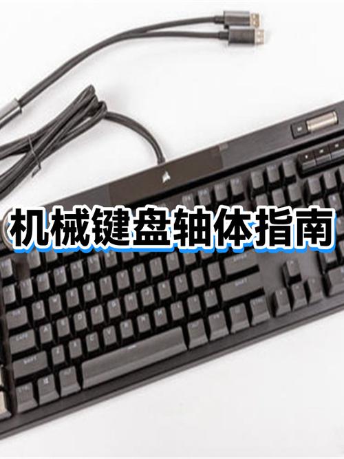 机械键盘的轴体推荐游戏截图