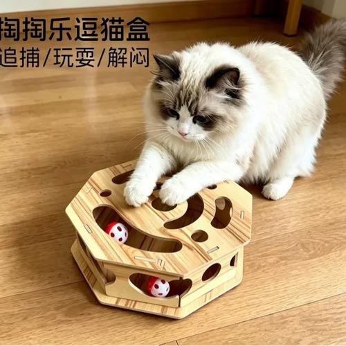 猫咪盒子app官网下载缩略图