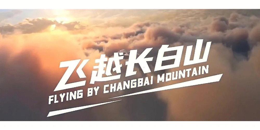 飞越和飞跃什么意思游戏截图