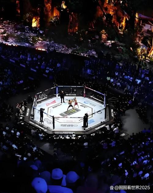 免费看ufc缩略图