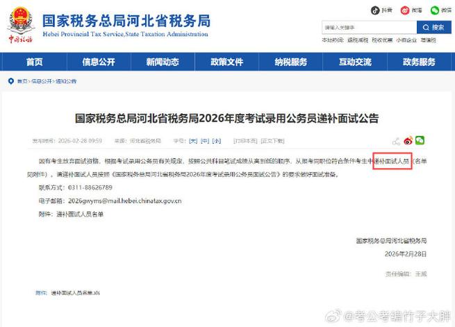 国家税务总局河北电子税务总局缩略图