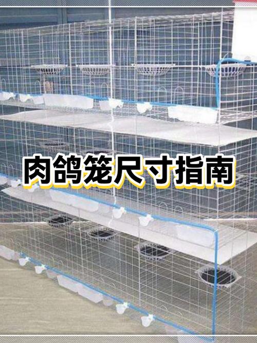 大量鸽子笼出售缩略图