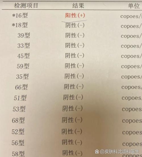 hpv型号对照表缩略图