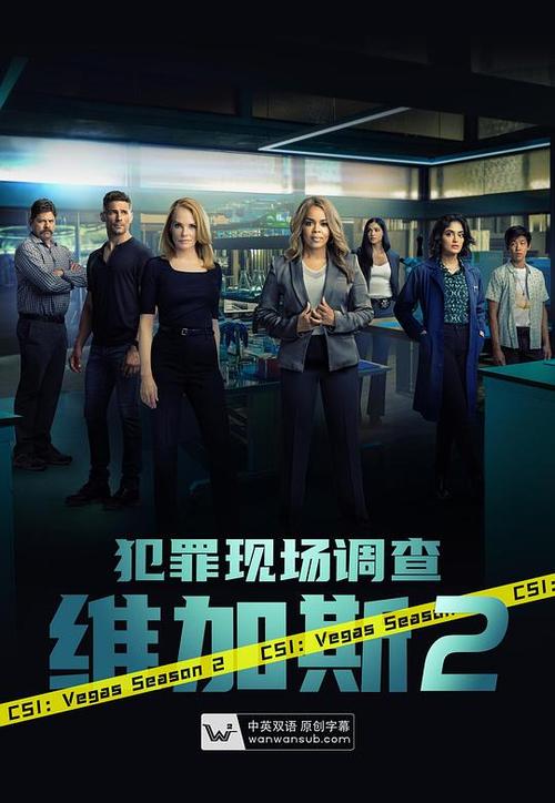 欧美剧剧情介绍缩略图
