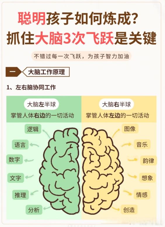 计算年龄在线游戏截图