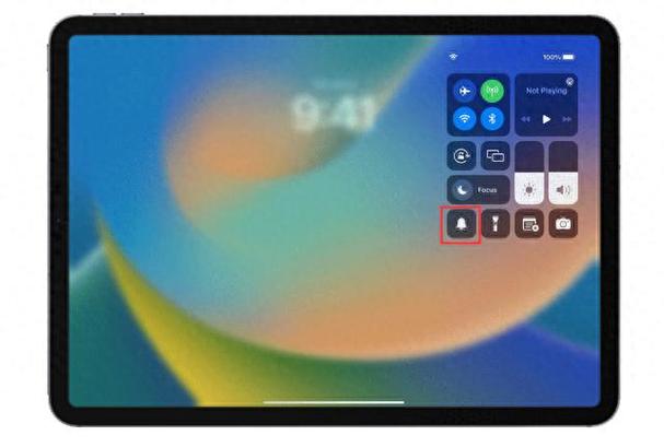 ipad打游戏开麦没有声音游戏截图