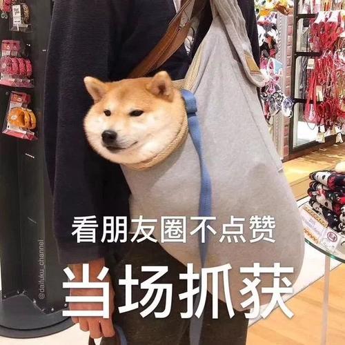 朋友圈点赞为啥不显示头像游戏截图