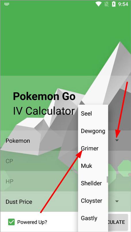 pokemon个体值计算器游戏截图