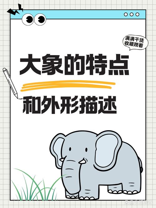 大象聊天软件缩略图
