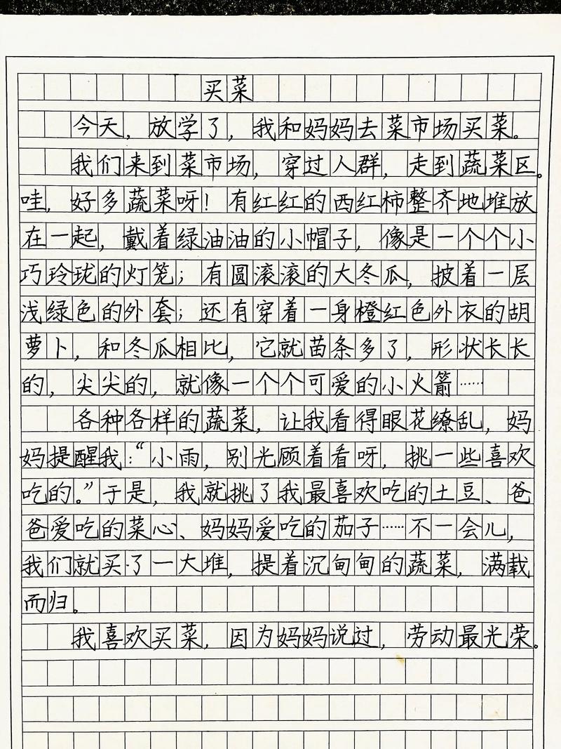 买菜作文300字优秀缩略图