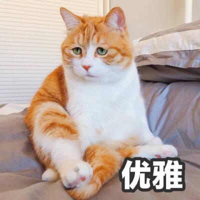 超级搜索super喵喵喵缩略图