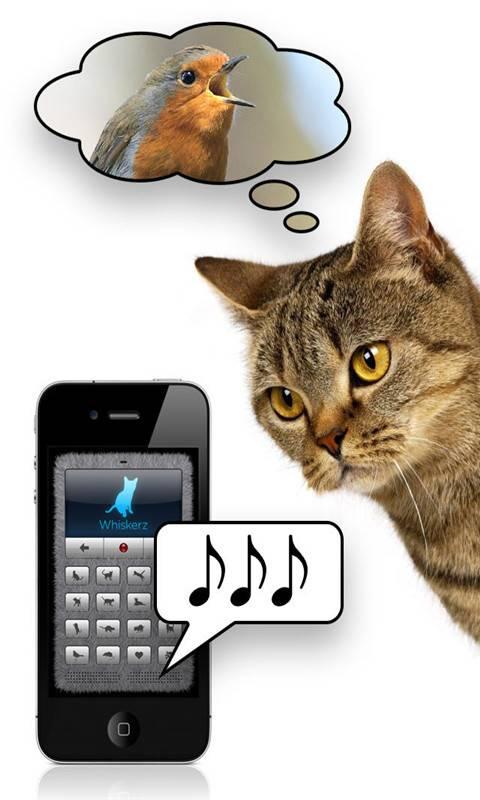 猫语翻译器中文缩略图