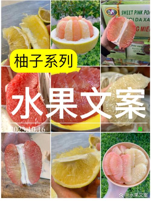 朋友圈卖柚子的文案缩略图