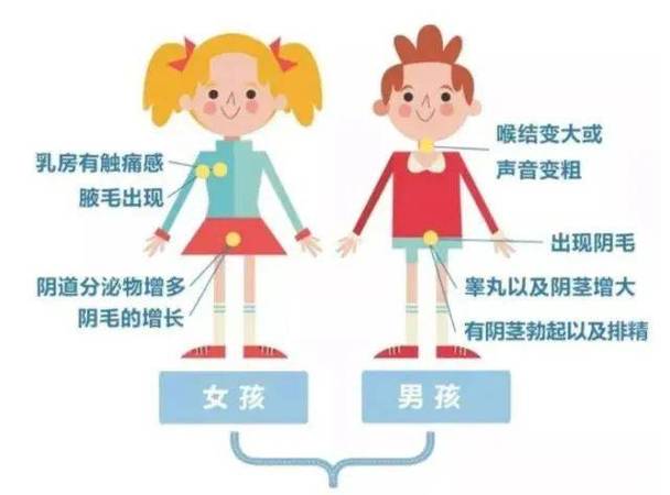 稚子指男孩还是女孩缩略图