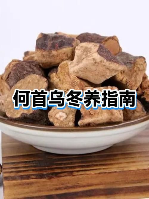 何首乌耐寒多少度缩略图