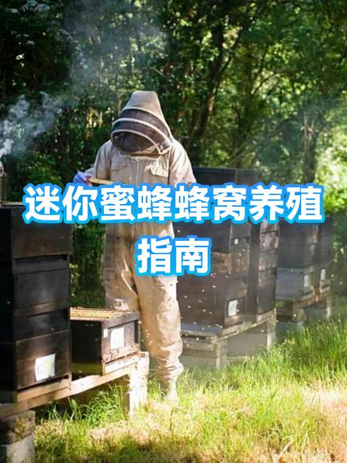 迷你世界怎么养蜜蜂游戏截图