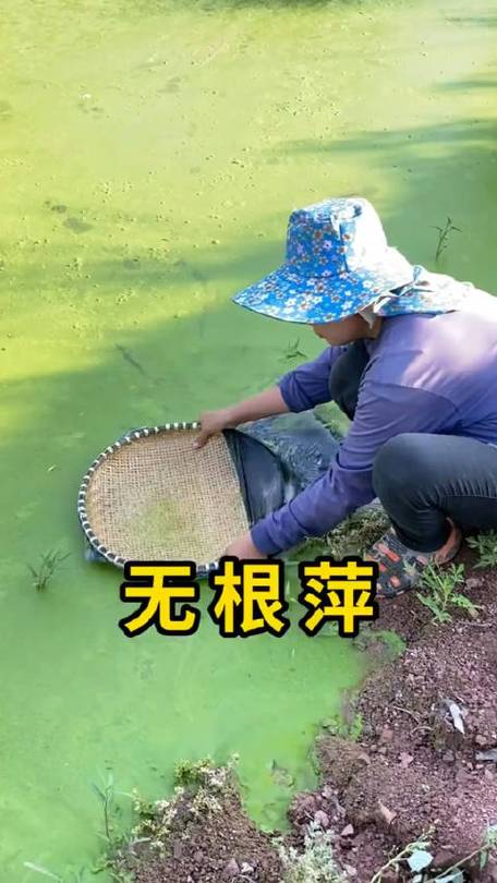 机器修改器免root缩略图