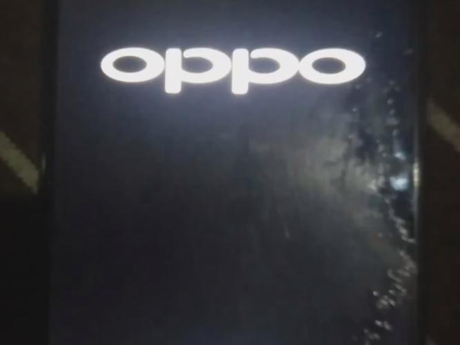 oppoa5一直卡在开机界面游戏截图
