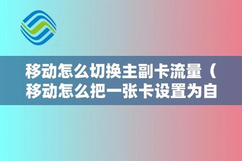 移动主卡可以关掉副卡的流量吗游戏截图