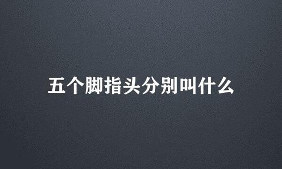 手指5个指头叫什么缩略图