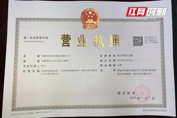湖南政务服务网办理营业执照缩略图