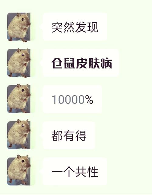 仓鼠咬了身上起了红疙瘩缩略图
