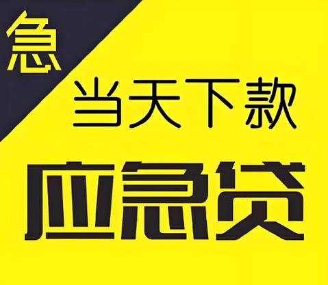 天天应急贷款app下载游戏截图