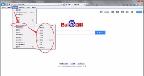 IE网页缩放比例固定缩略图