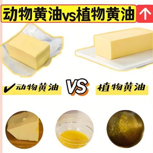 植物黄油游戏截图