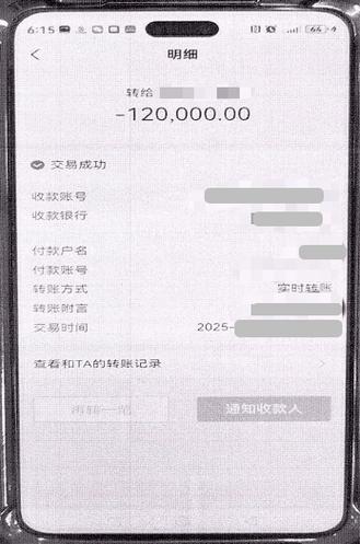 收款没到账,付款扣款成功游戏截图