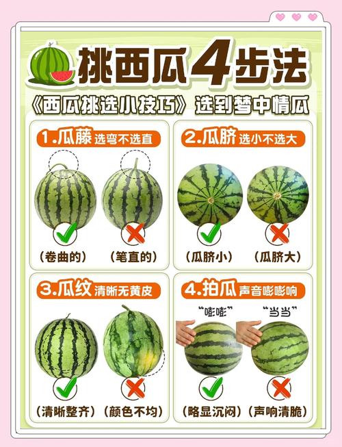 挑西瓜游戏规则游戏截图