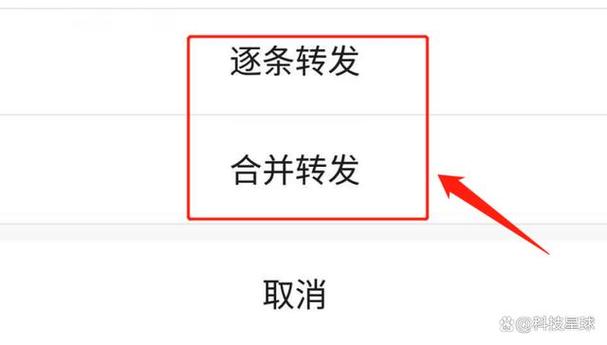 微信一秒语音转发神器缩略图