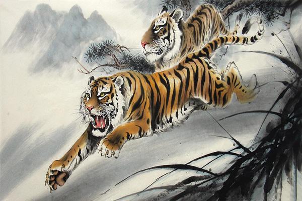 猛虎下山免费观看图标