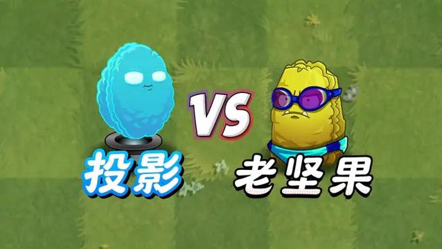全息坚果vs原始坚果缩略图