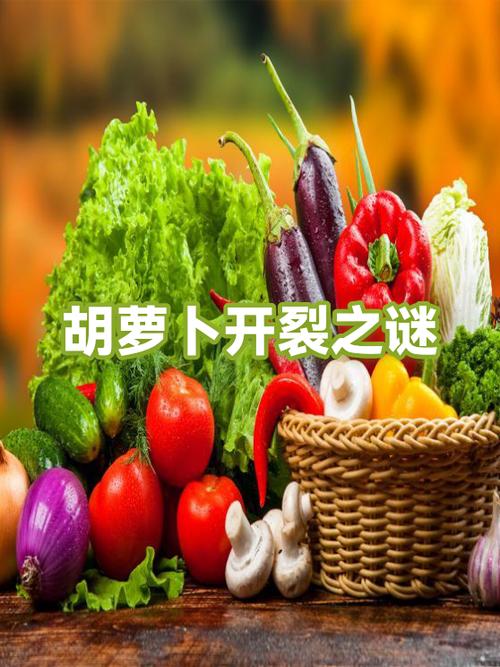 萝卜削皮吃好还是不削皮好呢缩略图