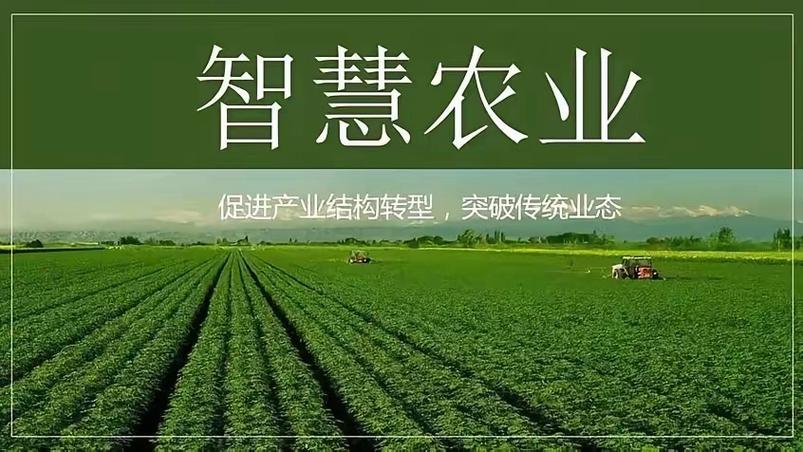 智慧农业000816缩略图